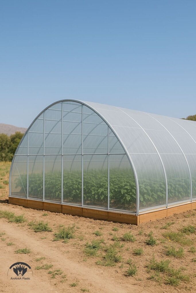 استفاده از نایلون عریض روی مزرعه برای کشت زودرس و افزایش تقاضای بازار